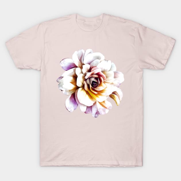 White Rose T-Shirt by CatyArte